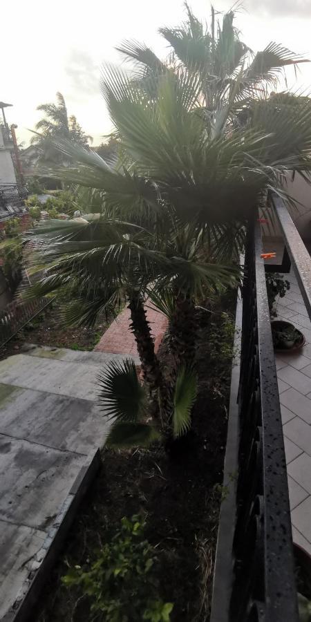 Greenhouse Mascalucia Dış mekan fotoğraf