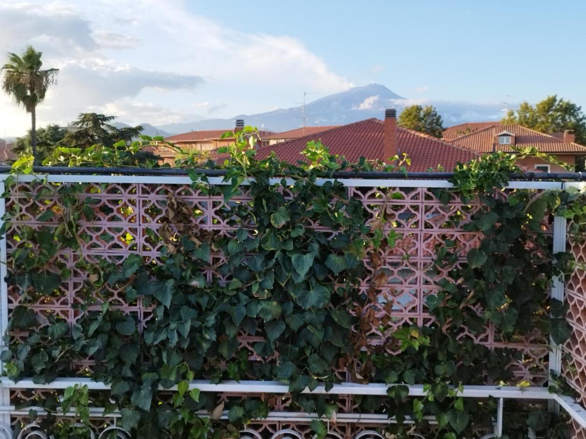 Greenhouse Mascalucia Dış mekan fotoğraf
